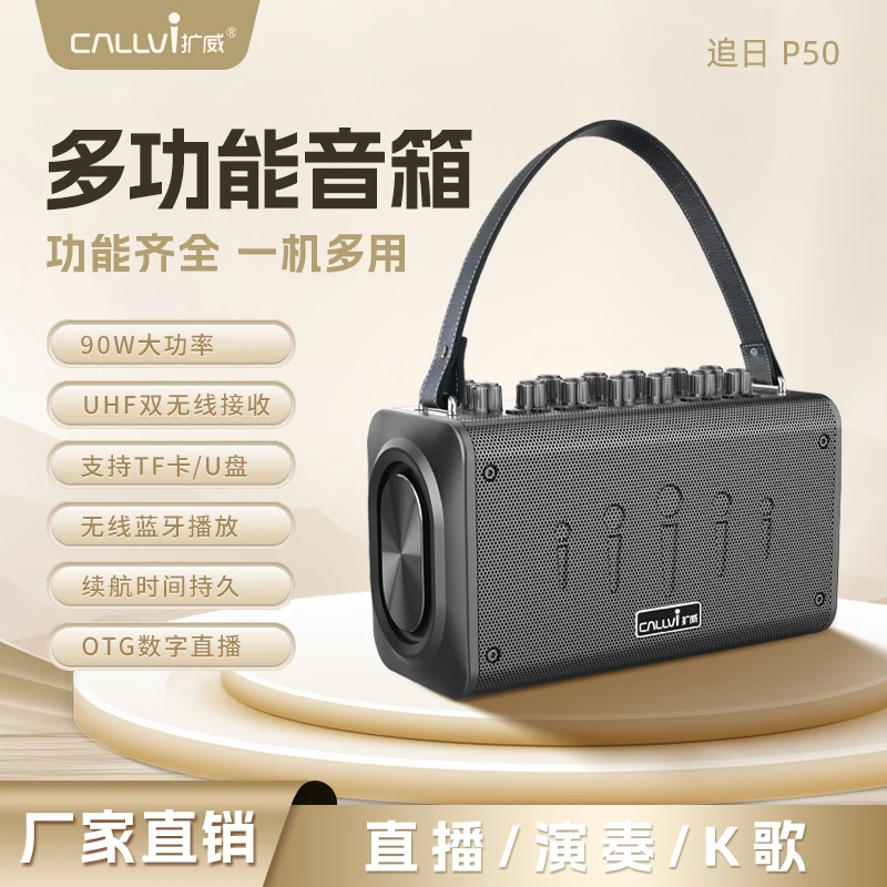 扩威P50重低音蓝牙音响乐器专用音箱电吹管萨克斯二胡无线直播