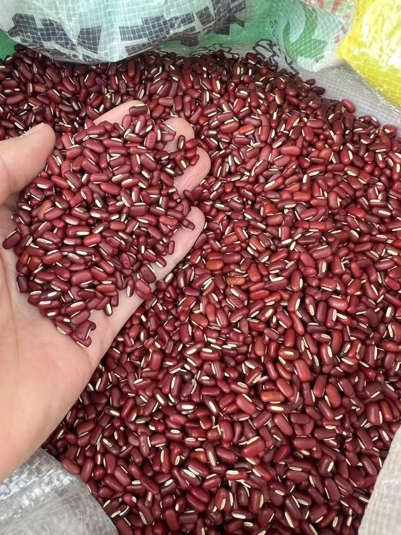 【老莫山货】赤小豆云南高山老品种豆子