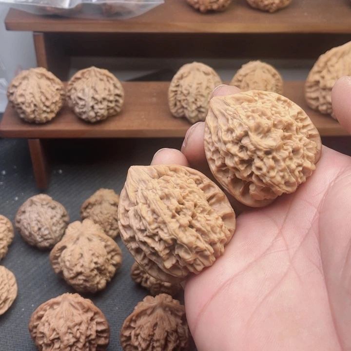 核桃手串/手链44王永…………