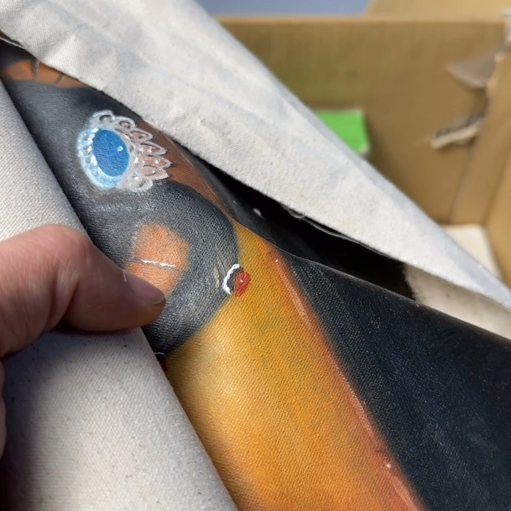 新***蚁如图所示所拍即所得