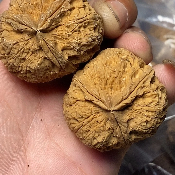 把件文玩核桃云南铁核桃B66