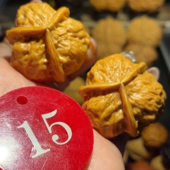 龙骨三棱核桃尺寸34