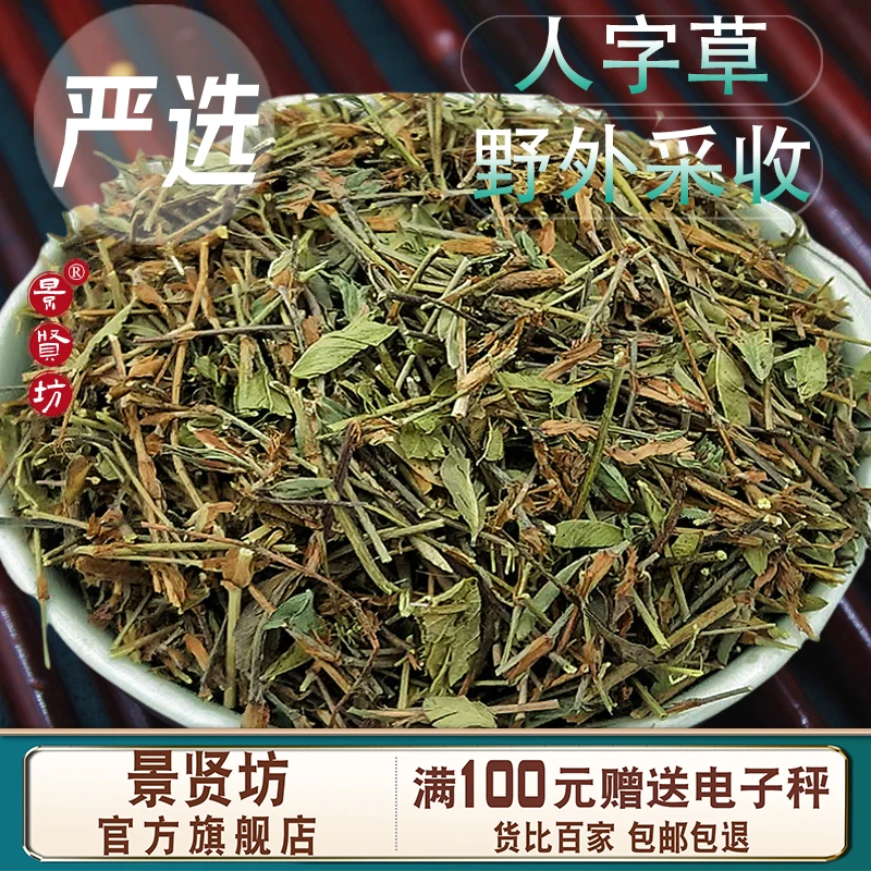 人字草中药材别名三叶人字草新鲜苍蝇翅蚂蚁草掐不齐可搭穿破石