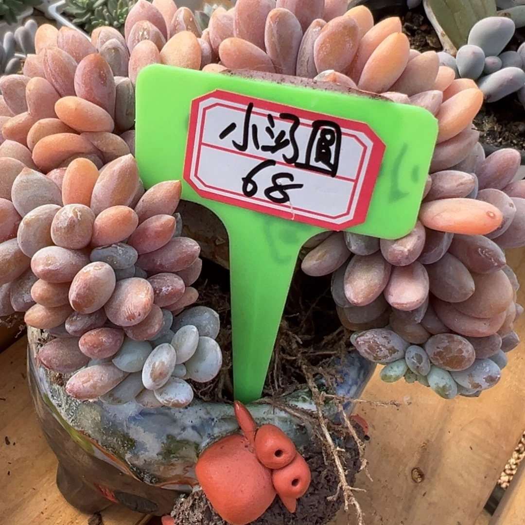 ****·我不喜欢这样一天都是