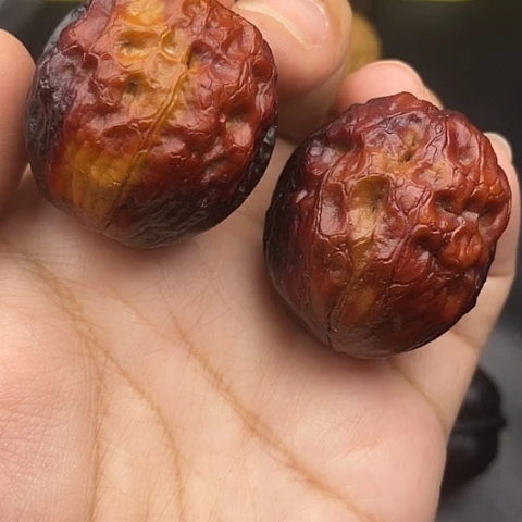 文玩核桃把件38尺疙瘩包