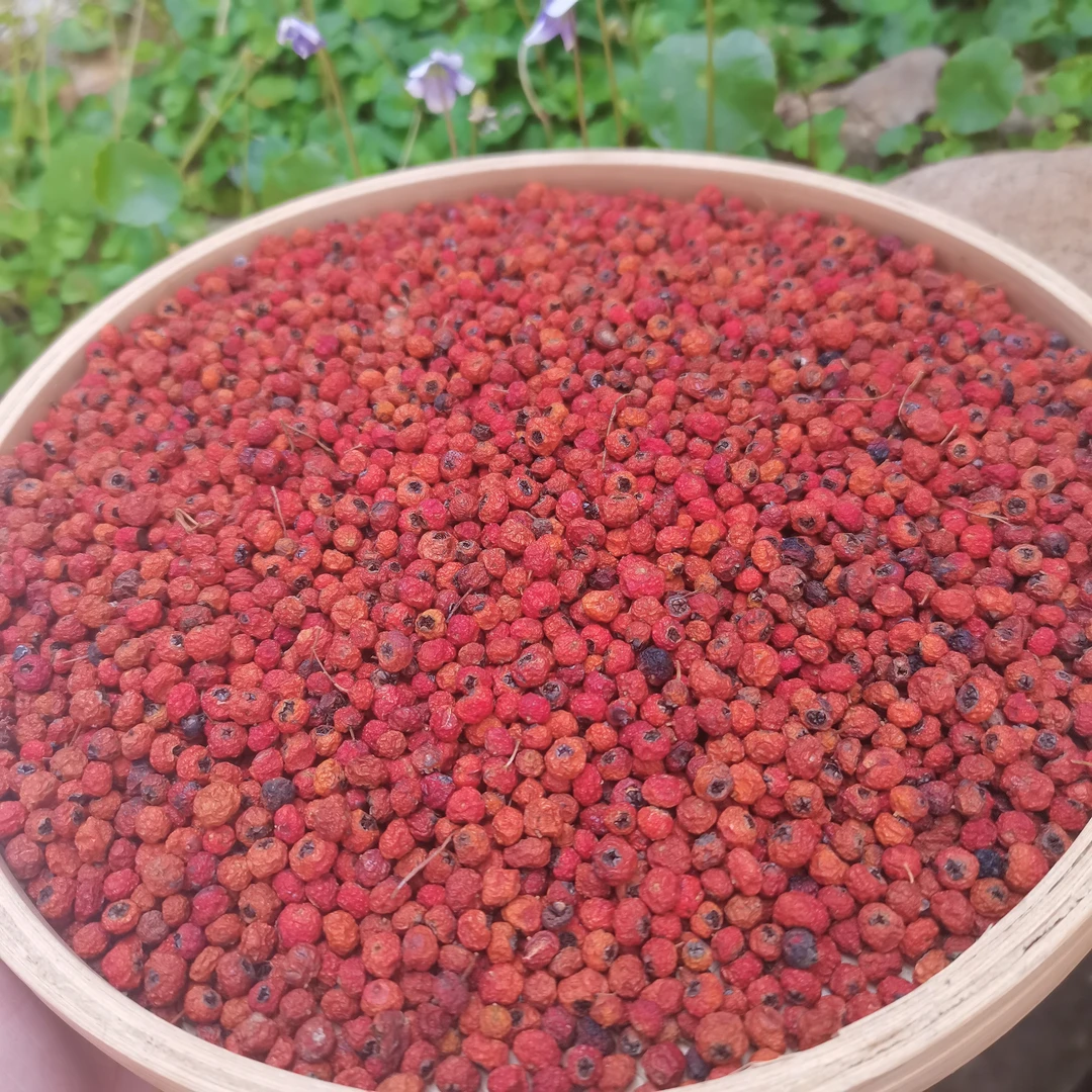 [紫杉果5个籽]辰辰精选初级农产品可自行搭配 枸杞