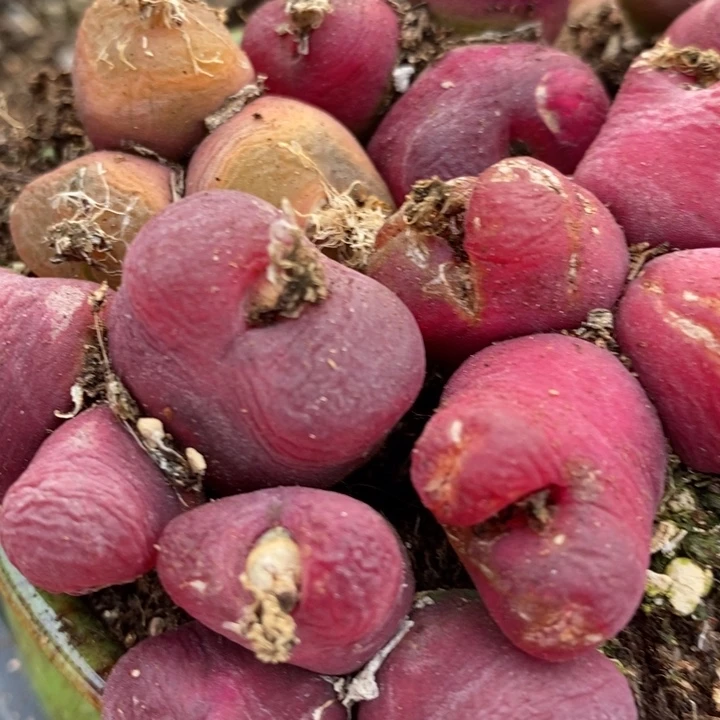 279有伤一组一组