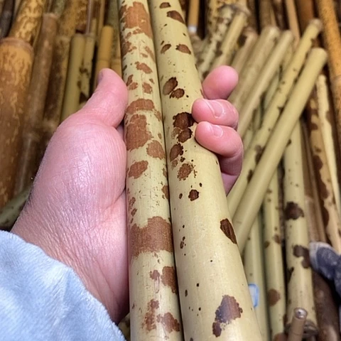 姑****箫精美湘妃竹两个起拍