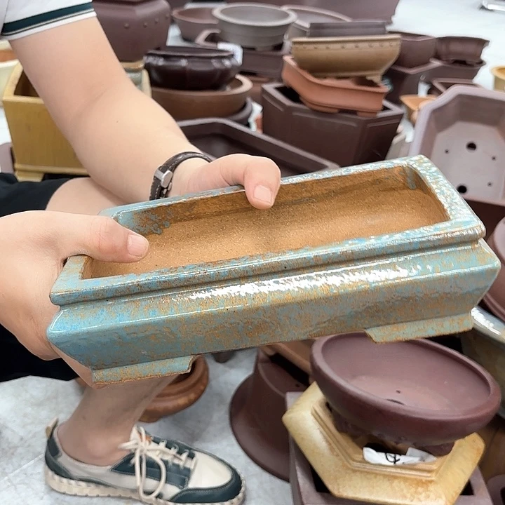 紫砂花盆紫砂的花也太漂亮