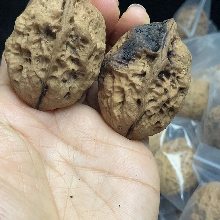 木质类云南铁核桃+75