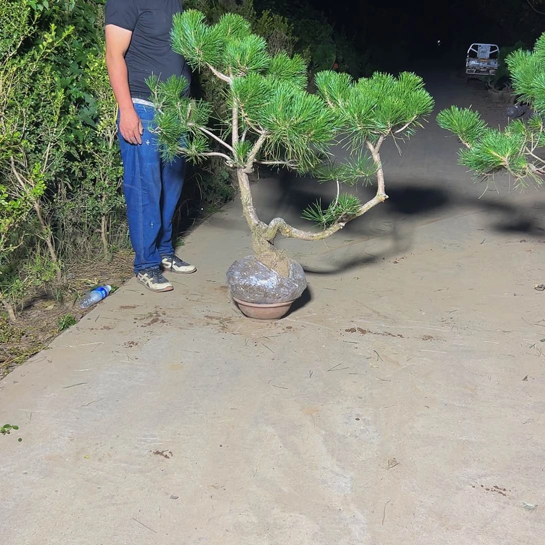 无花朵徐*义，88888888888