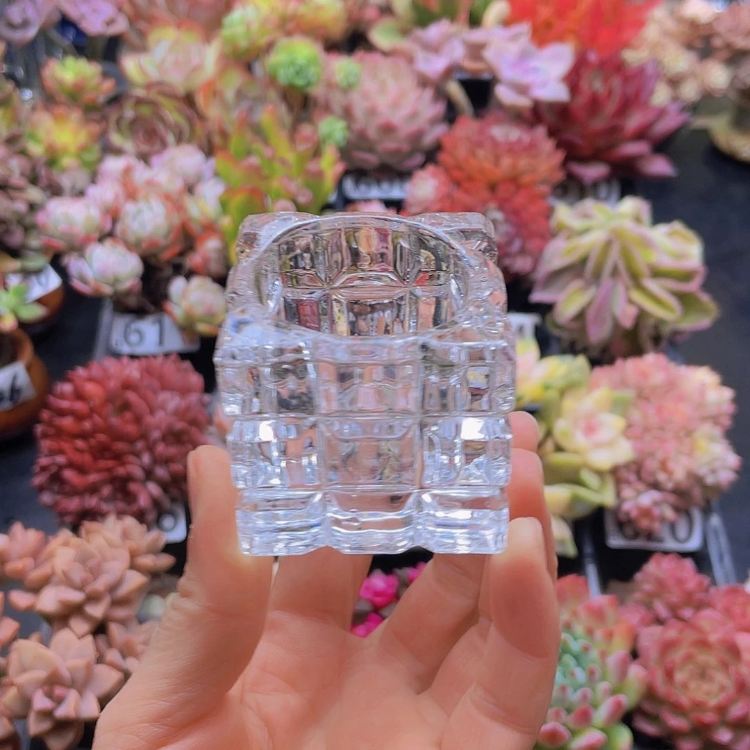 花钱花钱花钱花钱花钱花钱