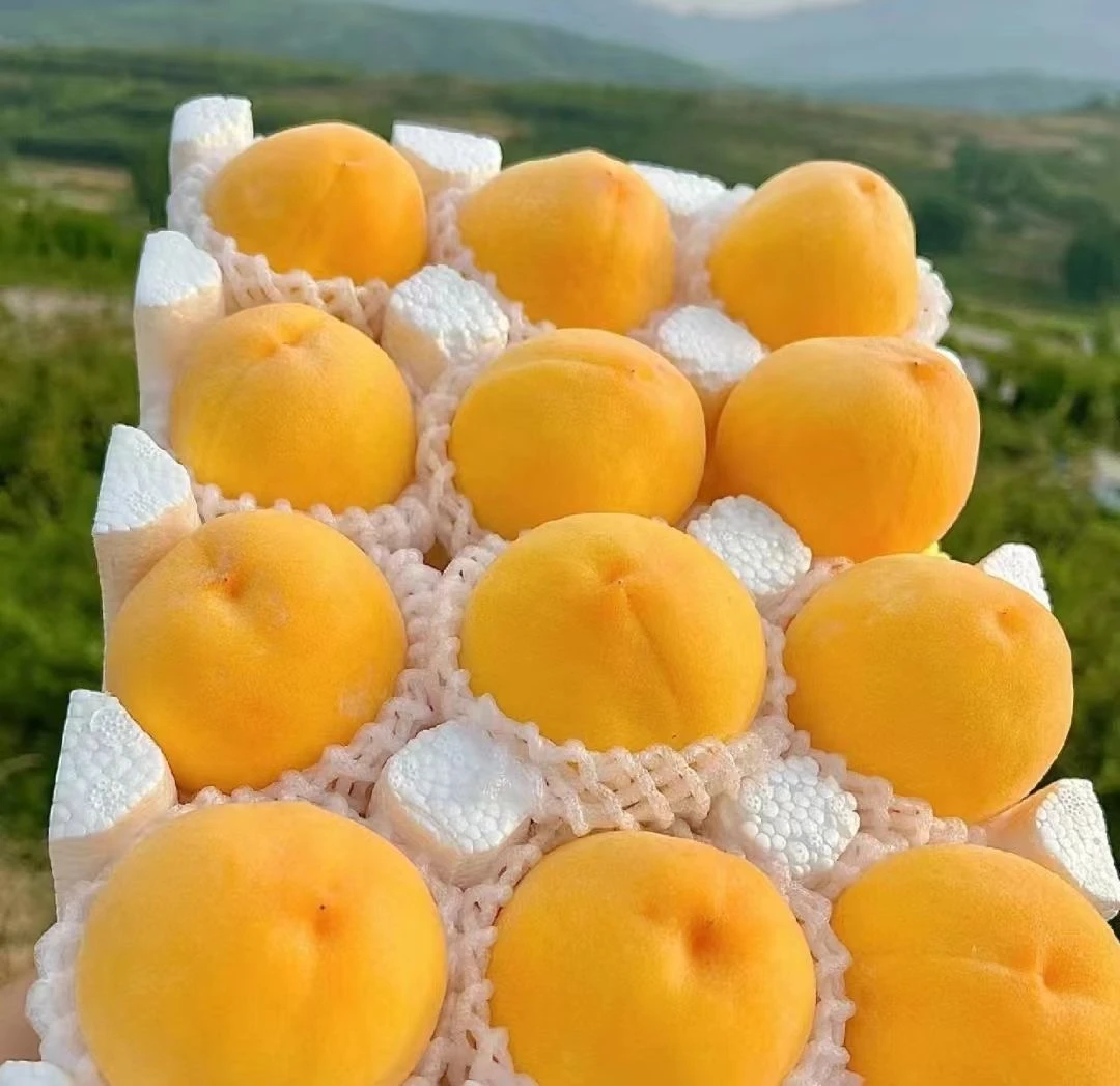【沂蒙山黄桃】新鲜应季脆甜多汁黄金蜜黄毛桃现摘现发软吃爆汁锦绣