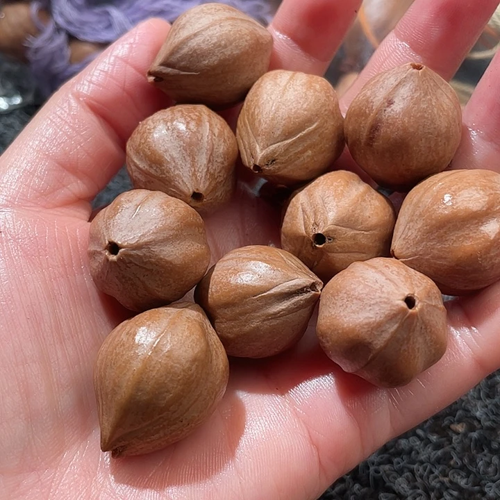 *****吊坠橄榄核2.2✖️2.7