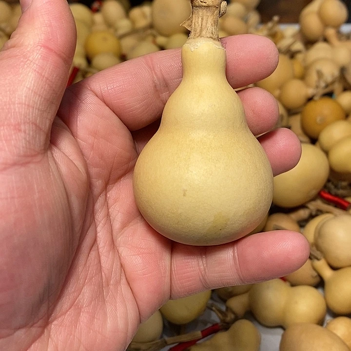 伦*精品葫芦手把葫芦28