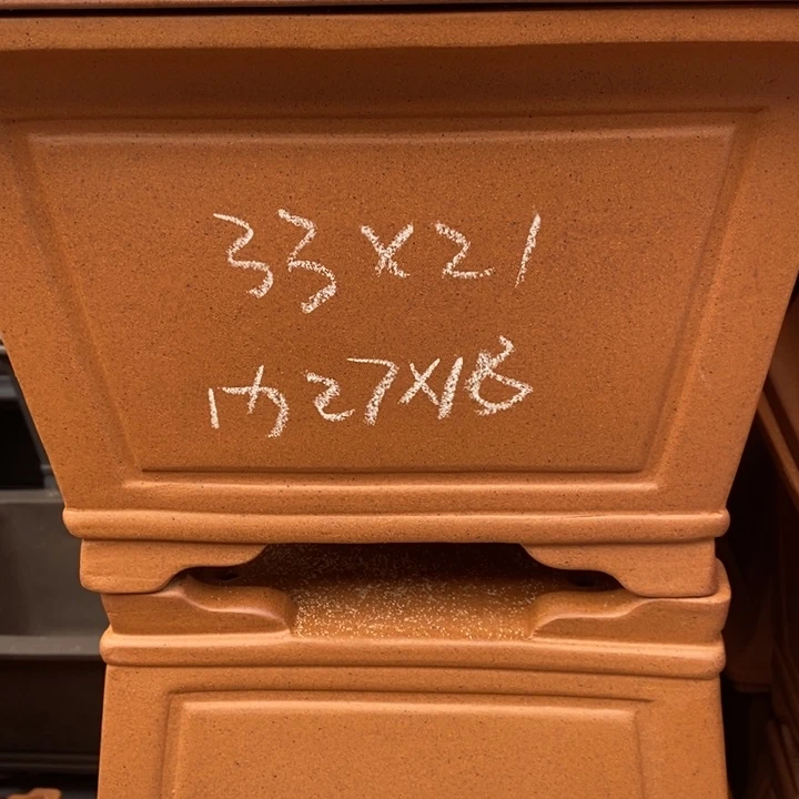 花盆紫砂只顾看电视