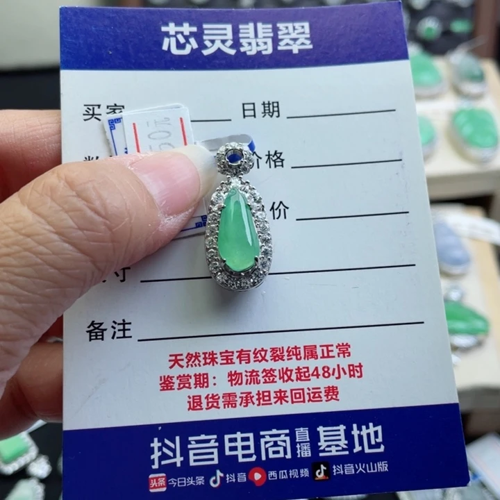 翡翠银S925镶嵌颈饰B****]