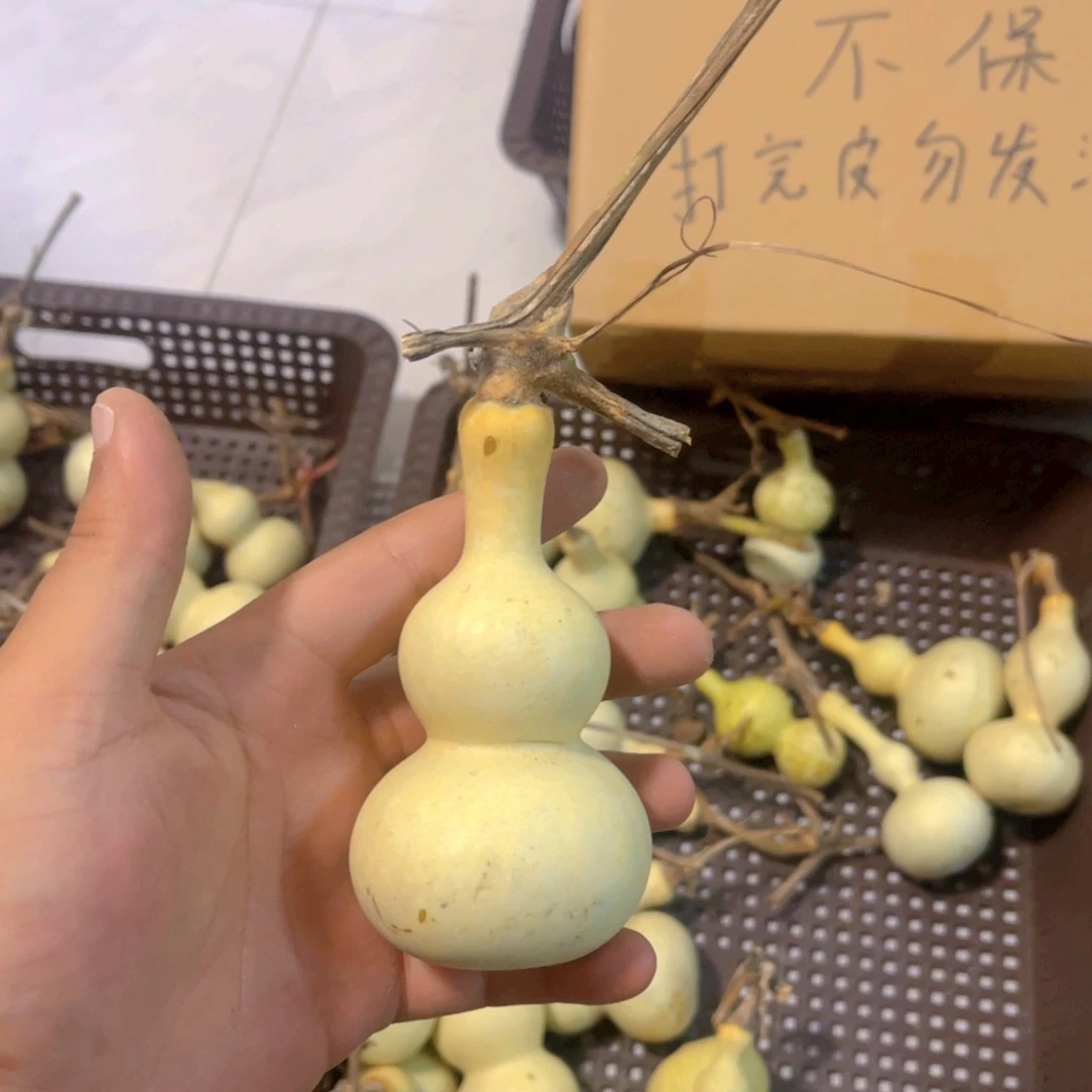 风***开感谢大哥支持兄弟，不保成