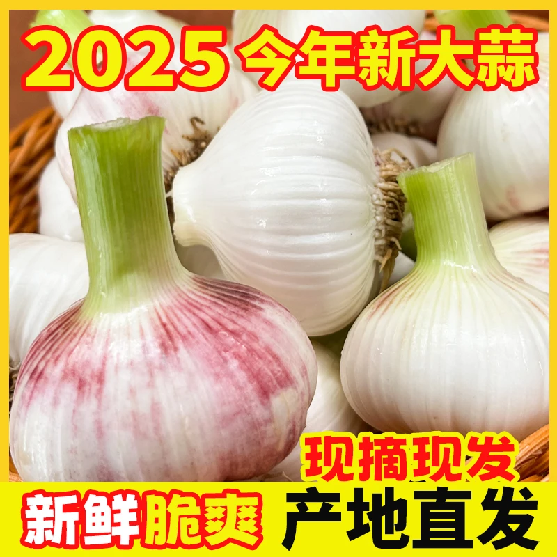 5斤现挖新鲜嫩大蒜湿蒜正宗紫白皮鲜蒜多瓣蒜农家自种可腌糖醋