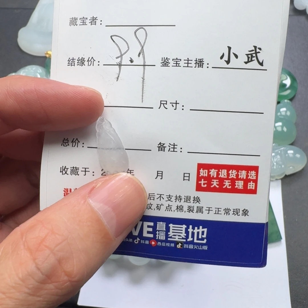 翡翠未镶嵌颈饰    97