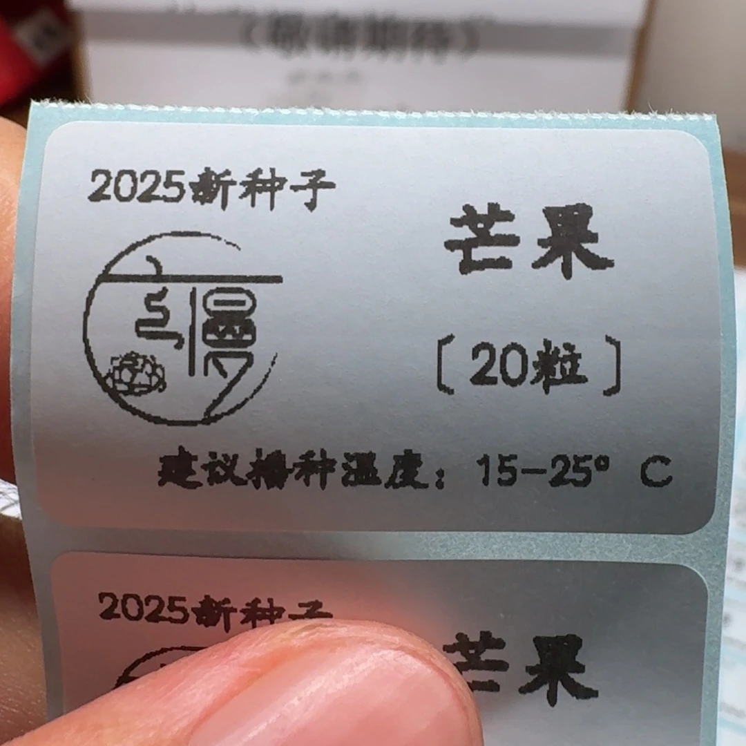 如图2025新种子珍妮系芒果20粒