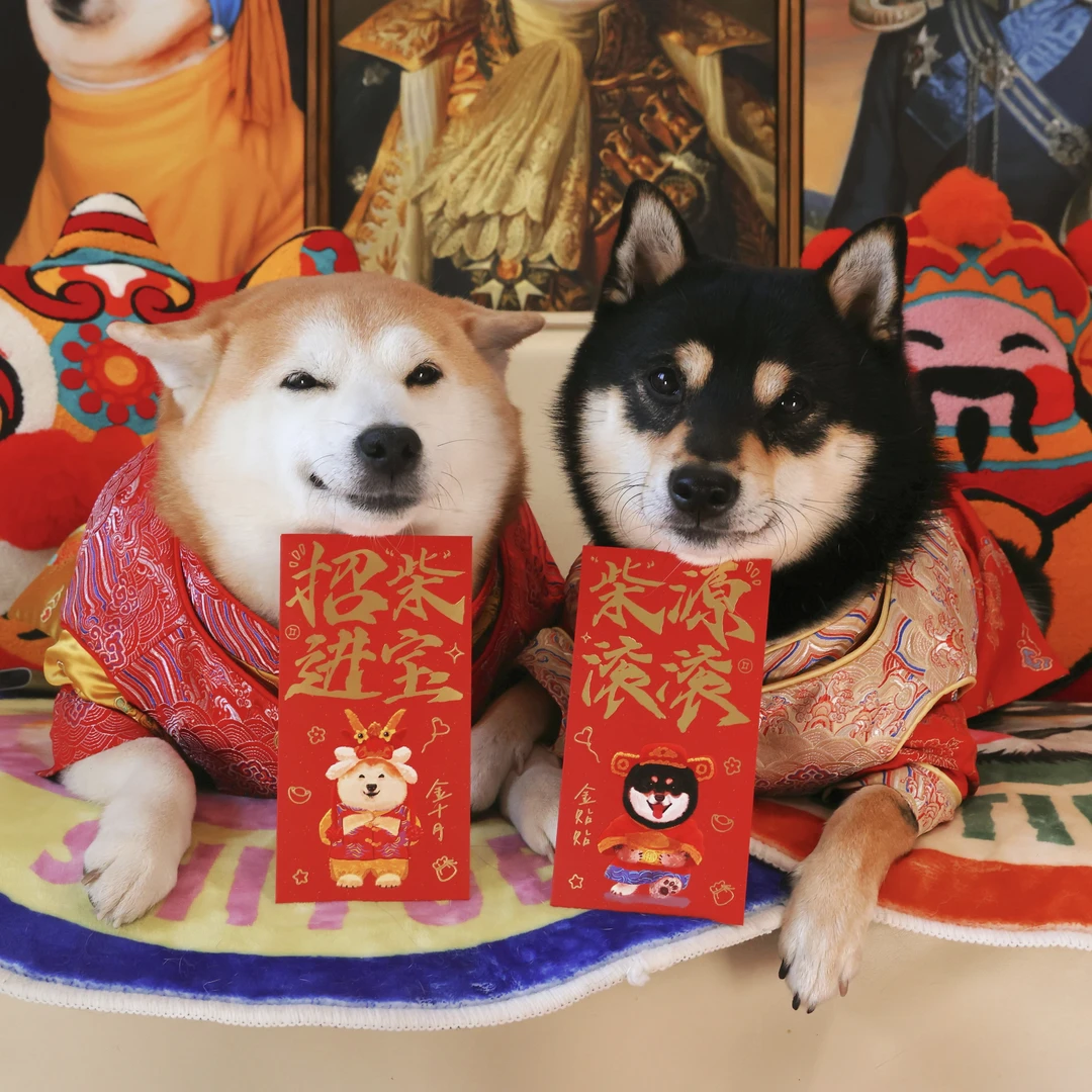 【金十月】原创红包十月贴贴金十月的猫