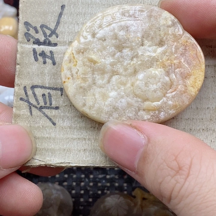 颈饰未镶嵌硅化珊瑚（珊瑚玉）用****1
