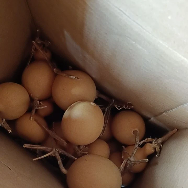 对*错文玩葫芦，八宝葫芦