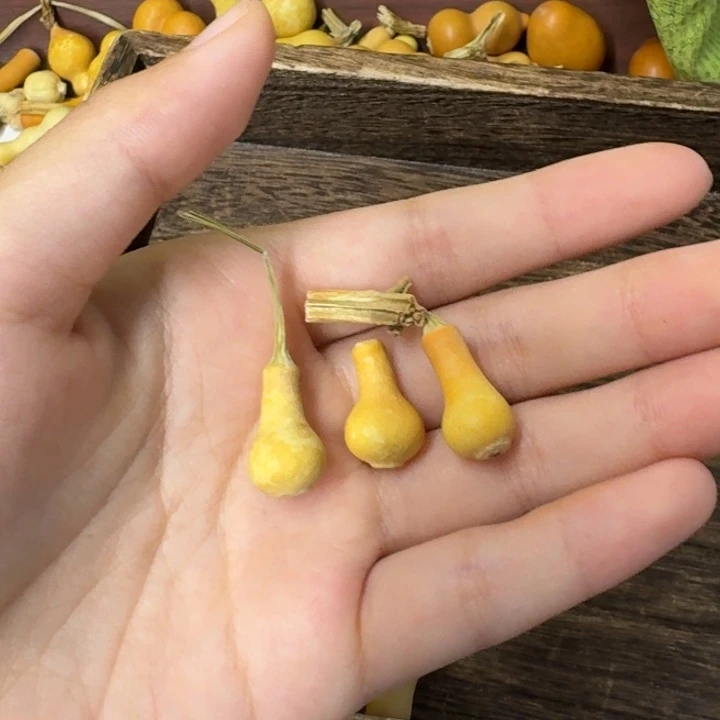 葫芦葫芦葫芦葫芦