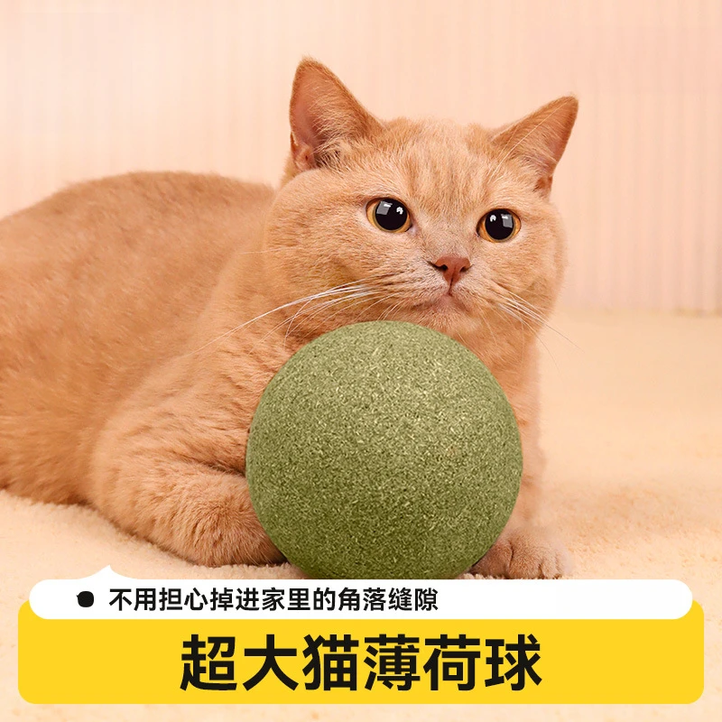 超大猫薄荷球自嗨解闷磨牙猫薄荷猫玩具薄荷球虫瘿果大球玩具猫