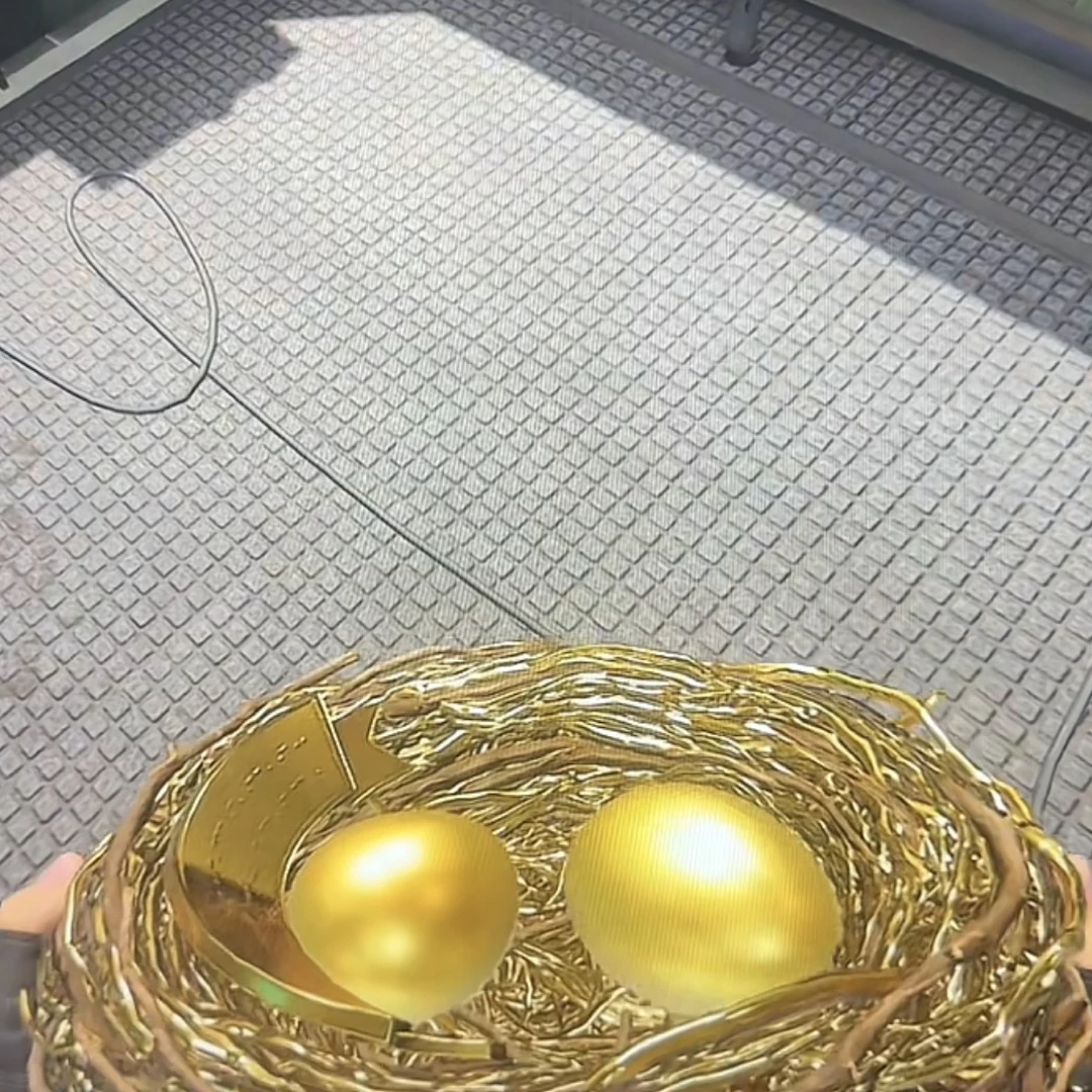 三角洲 黄金鸟窝 藏品