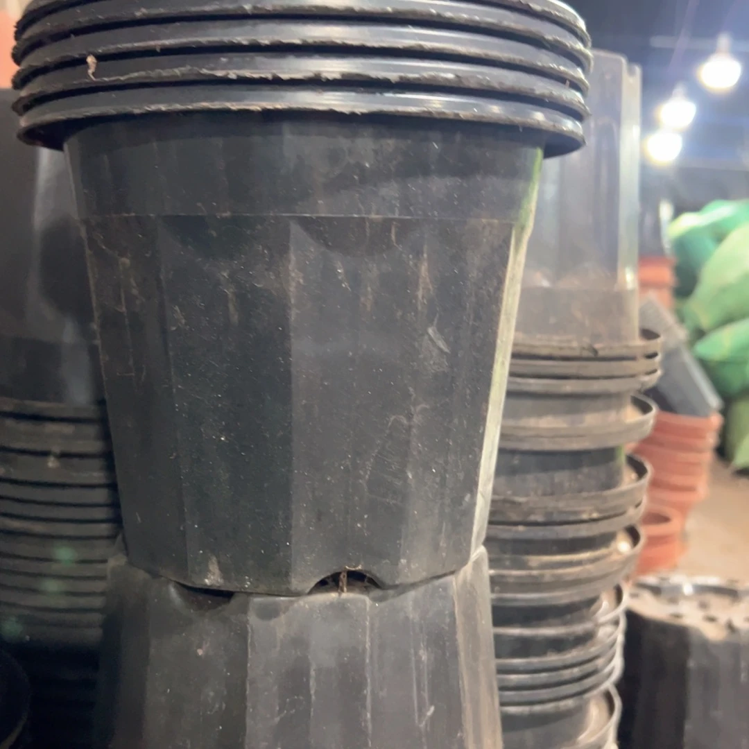 黑砖盆18口径14高 20个