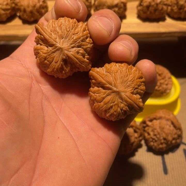 核桃41全品磨盘狮子头。。。