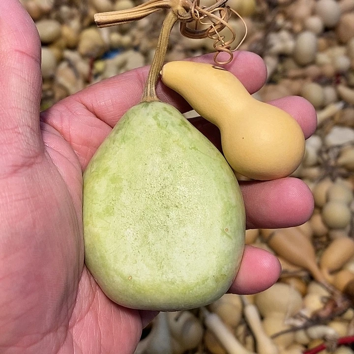 呵***啊精品葫芦手把葫芦13