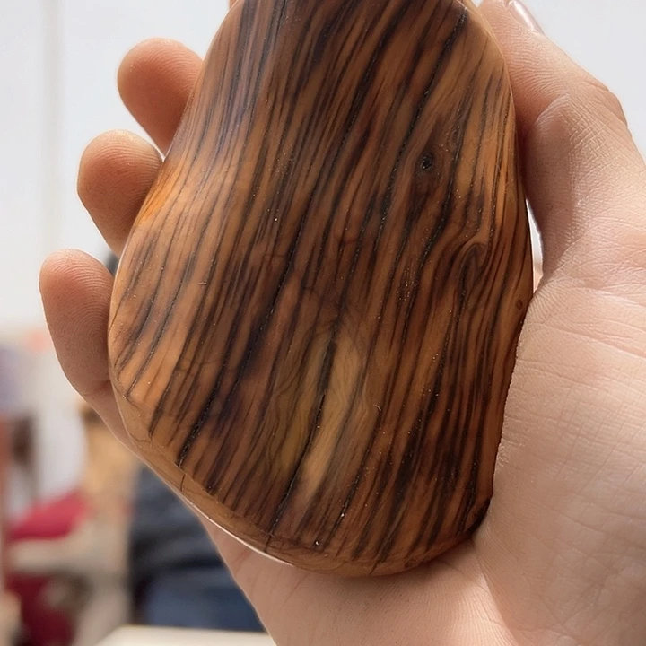 柏木匠*姐我们的生活也会