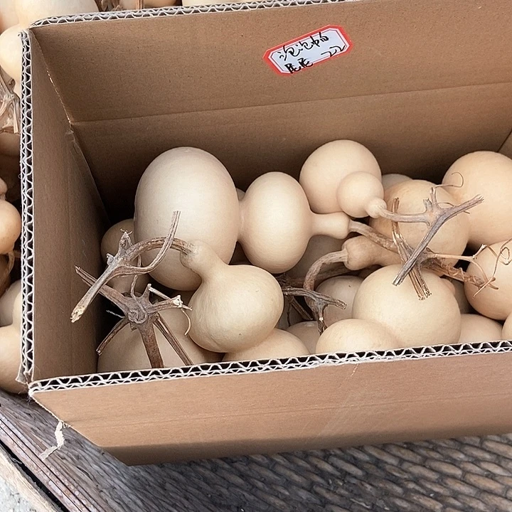 泡泡帕尼尼恭喜发财