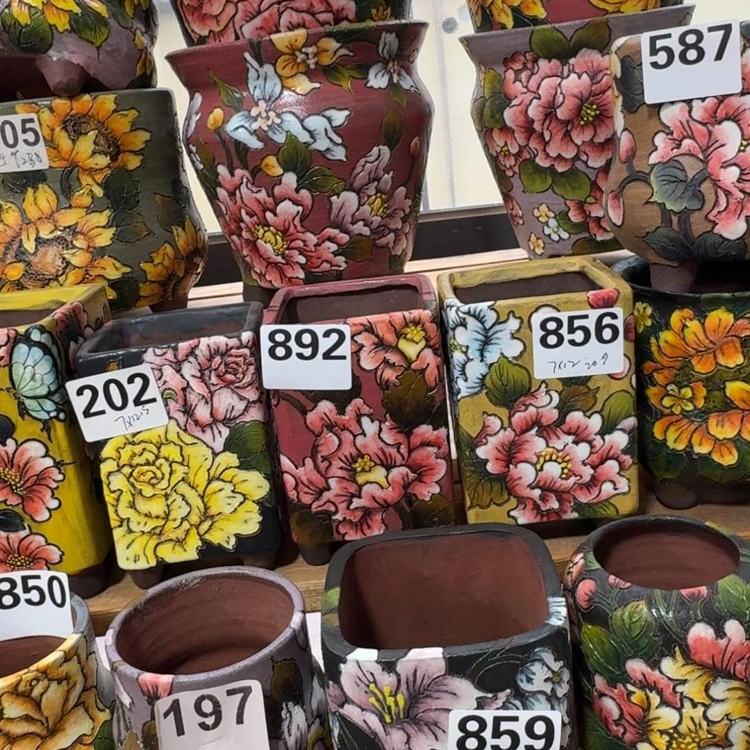 风***行5566669996566556666