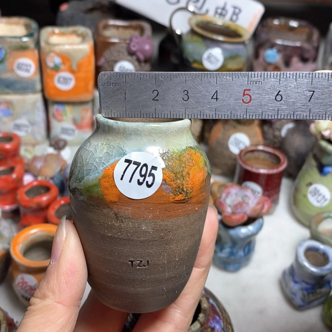 花盆拍5送一个小礼物