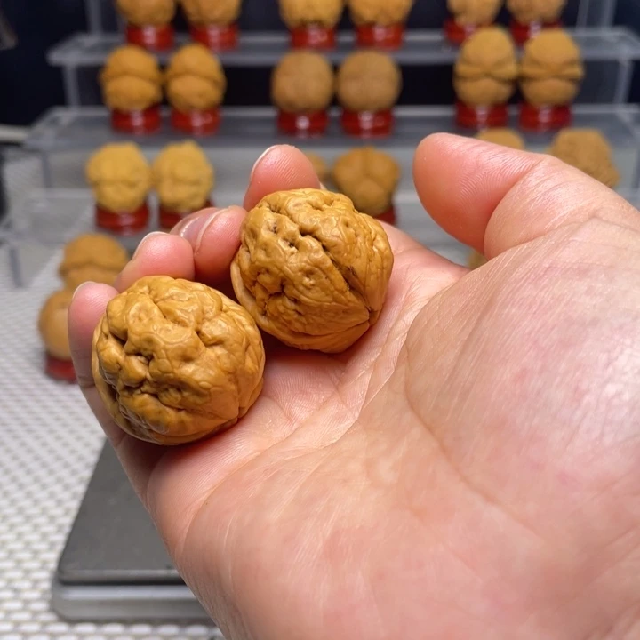 文玩核桃把件27脑纹青蛙