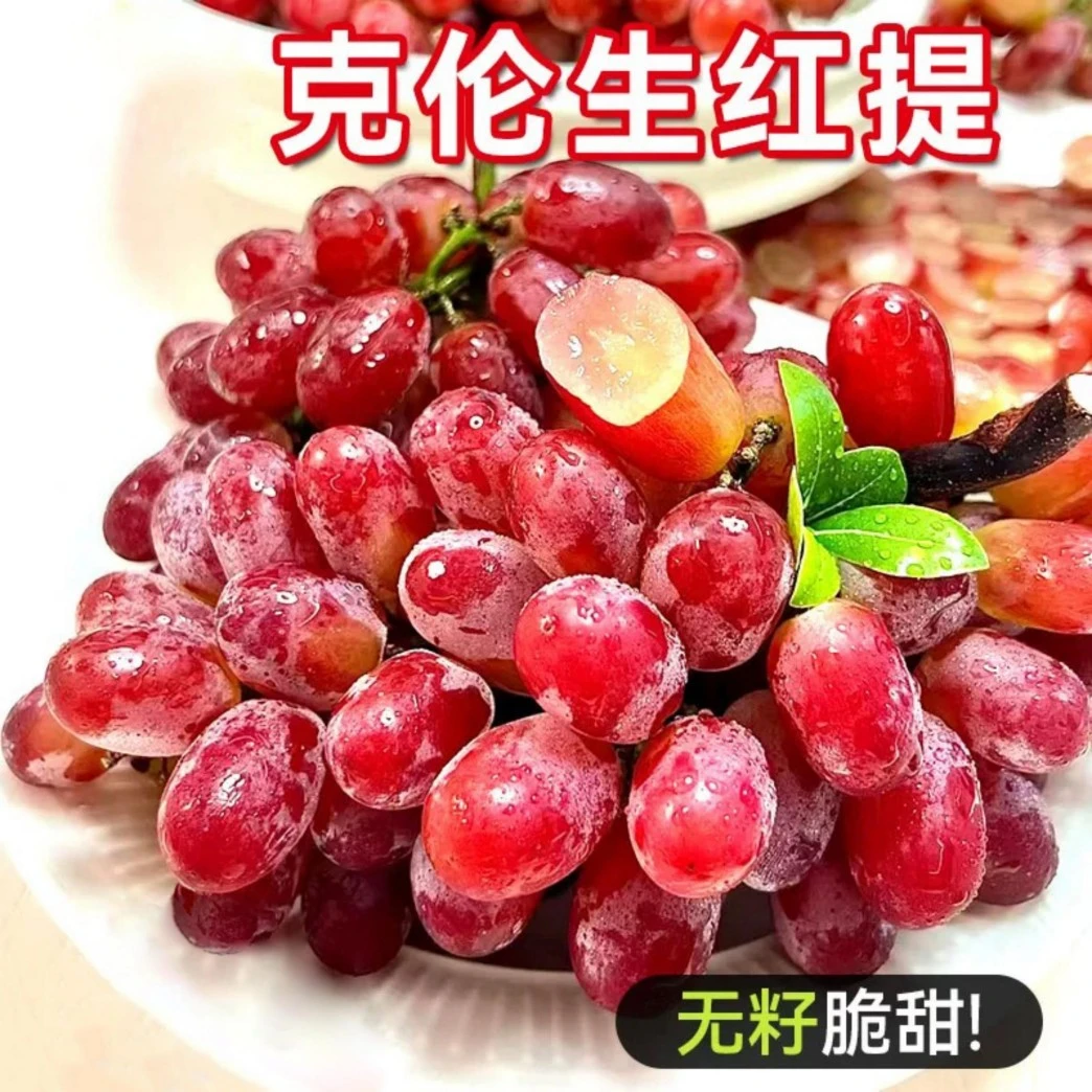 新疆克伦生无籽红提九甜一酸现摘现发新鲜多汁脆甜【顺丰直发】