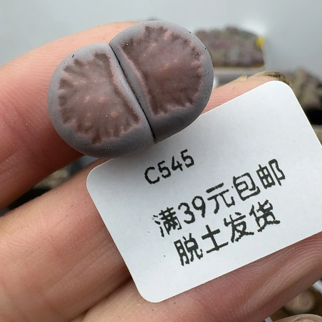 借***月545补邮费发顺丰哈哈哈