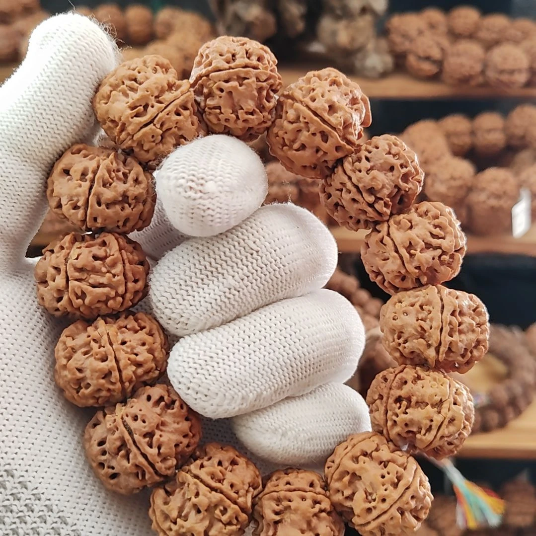 手串金刚菩提平头梅花双龙