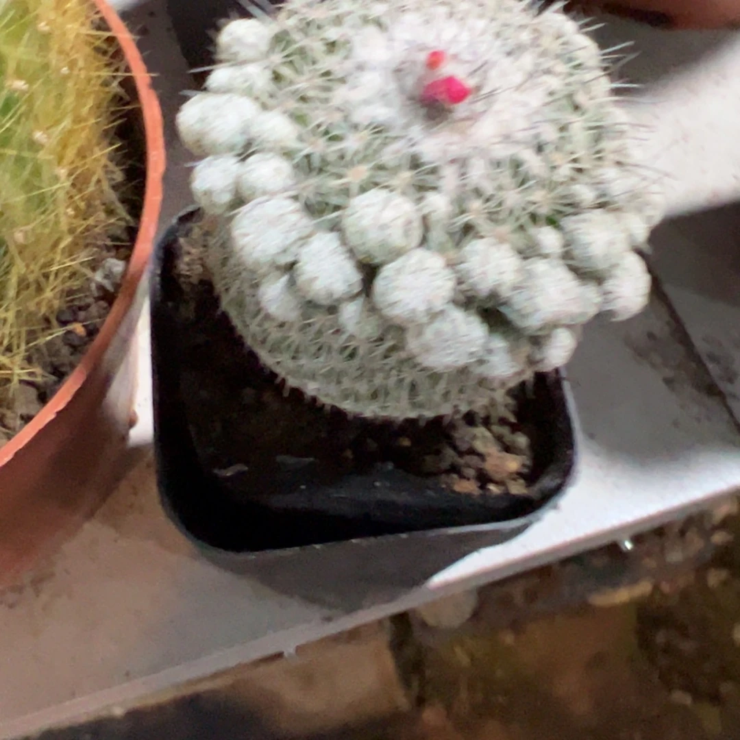 ****心哈哈哈哈哈哈哈哈哈