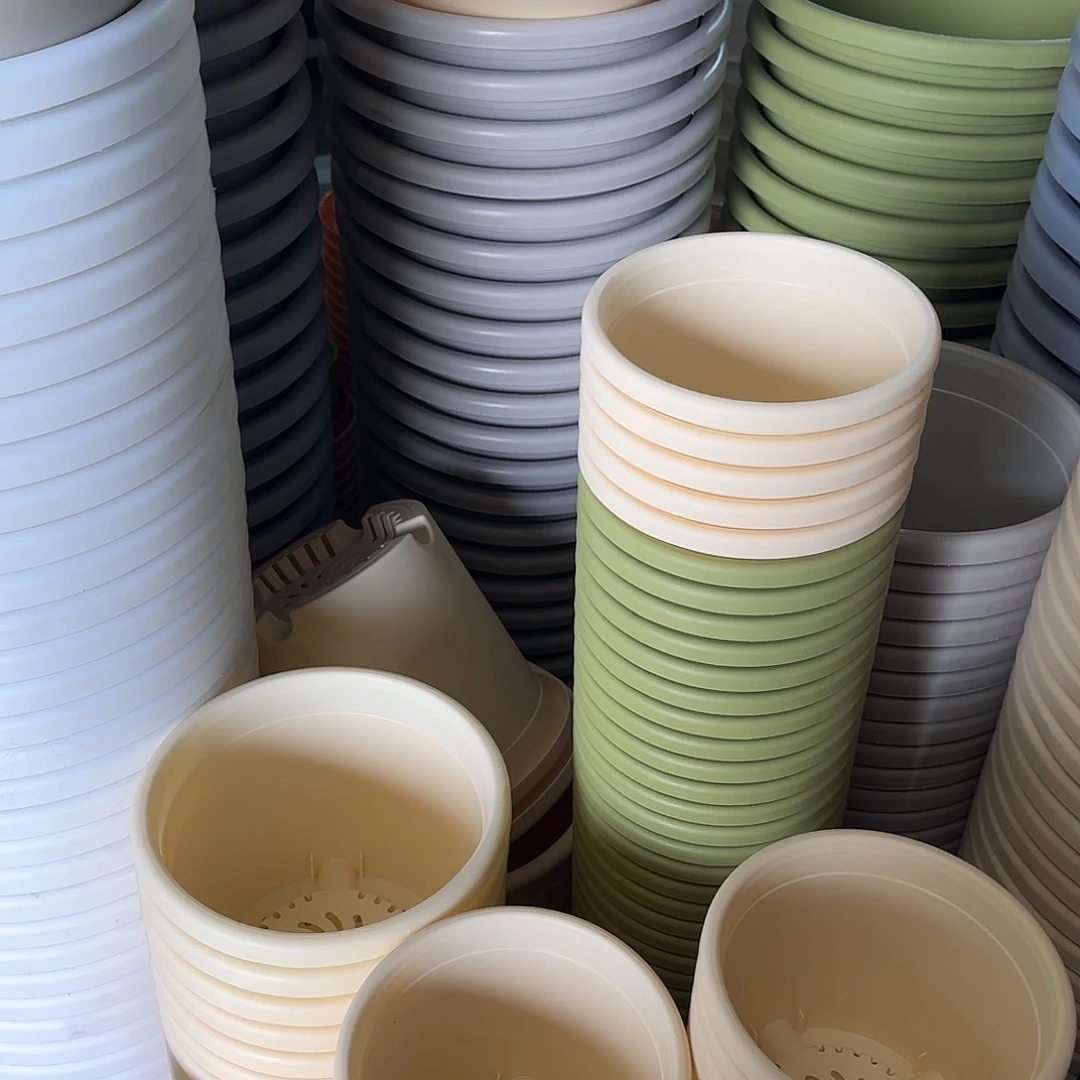 树脂四季2号无托12个果绿