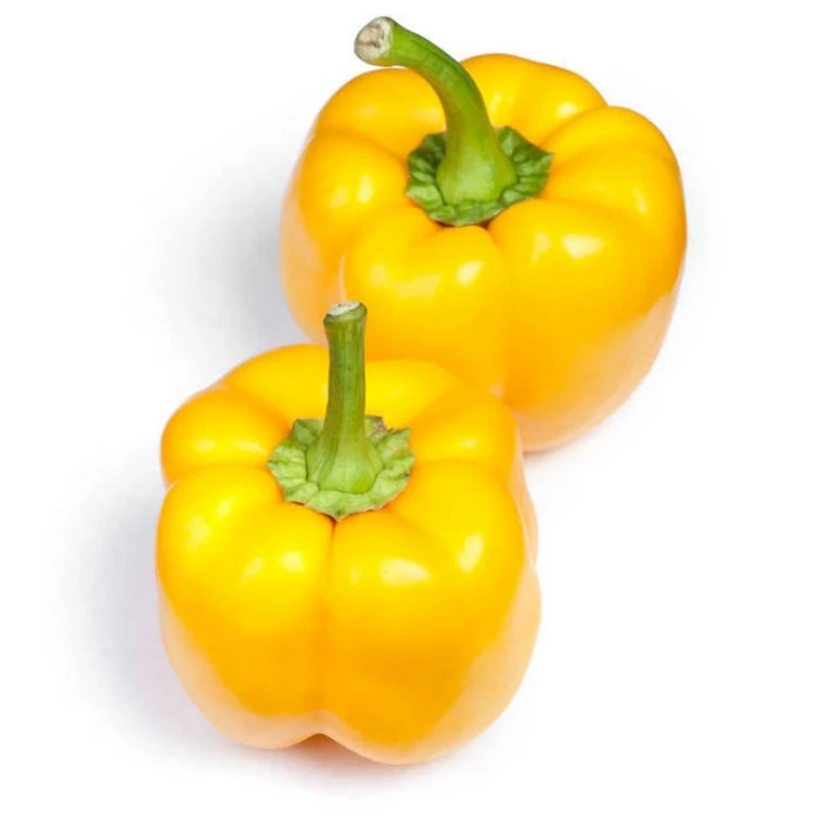 辣椒大全甜椒杭椒五彩椒辣妹子山东寿光苗场直发秧苗