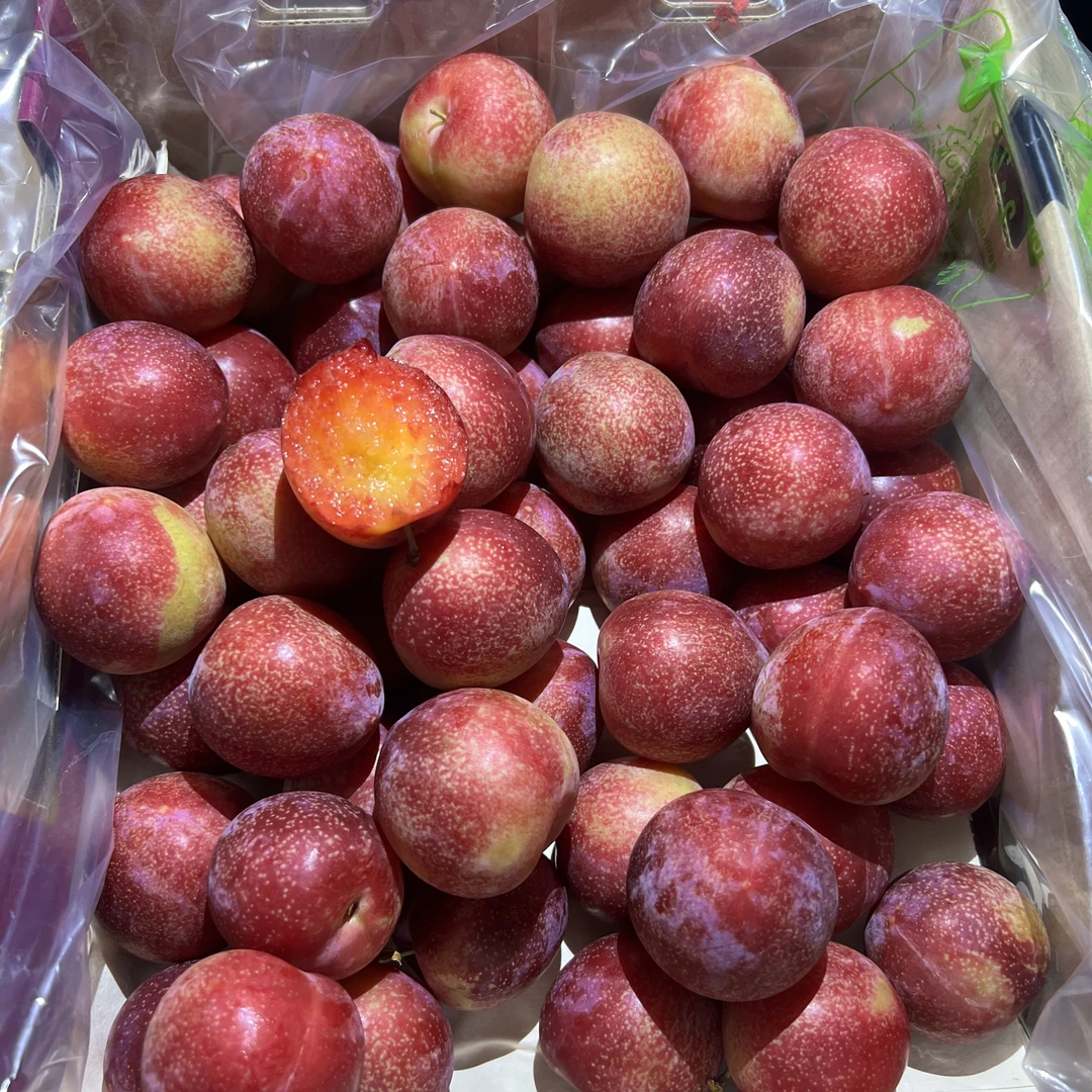 【阿良甄选】智利海运CD4J樱桃李新鲜水果2/5斤顺丰包邮