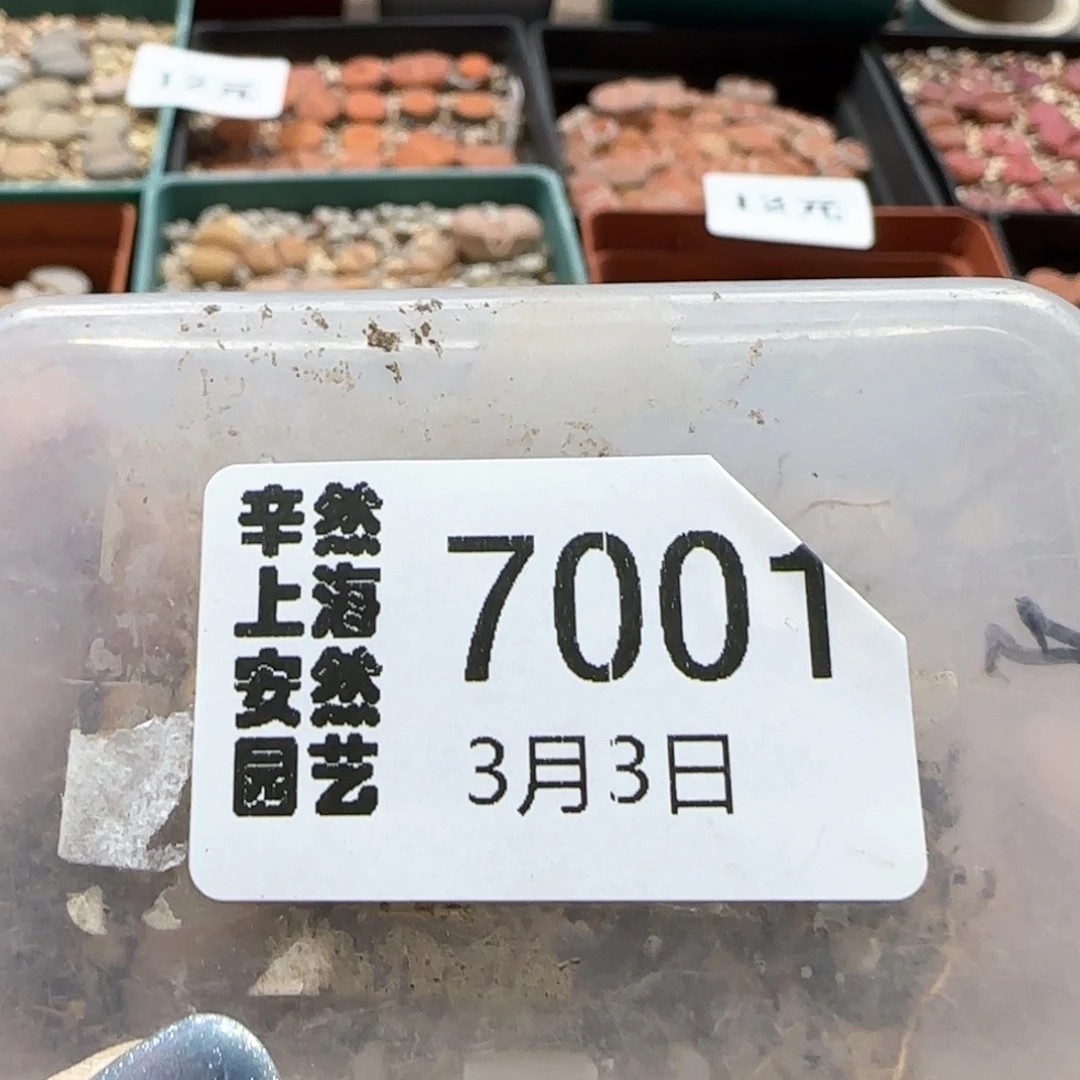 保****师3。3。7001。.6 217饼干。7