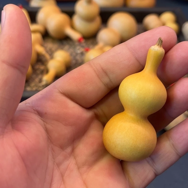 亦*.拍品葫芦不退不换