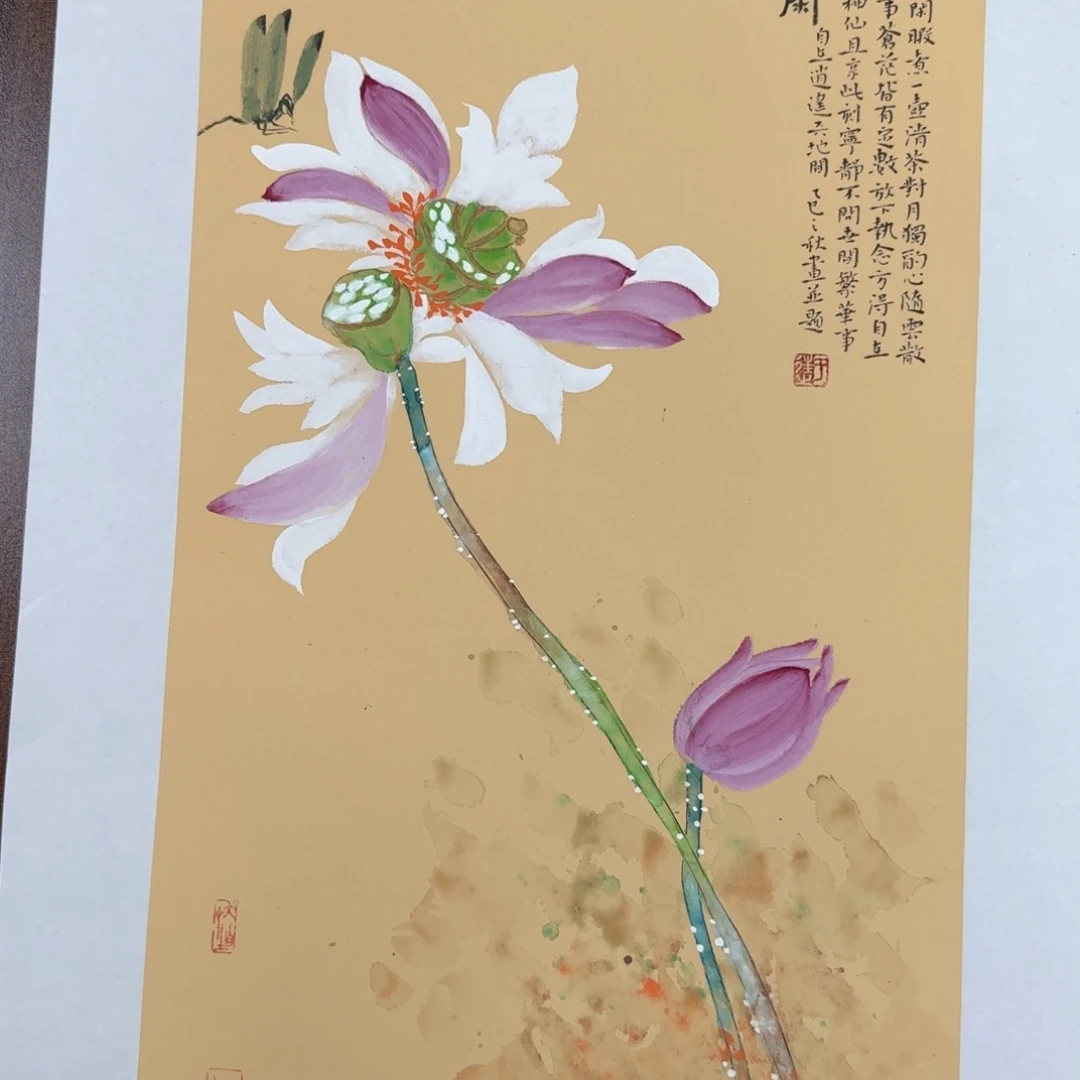 国画国画作品山水花鸟