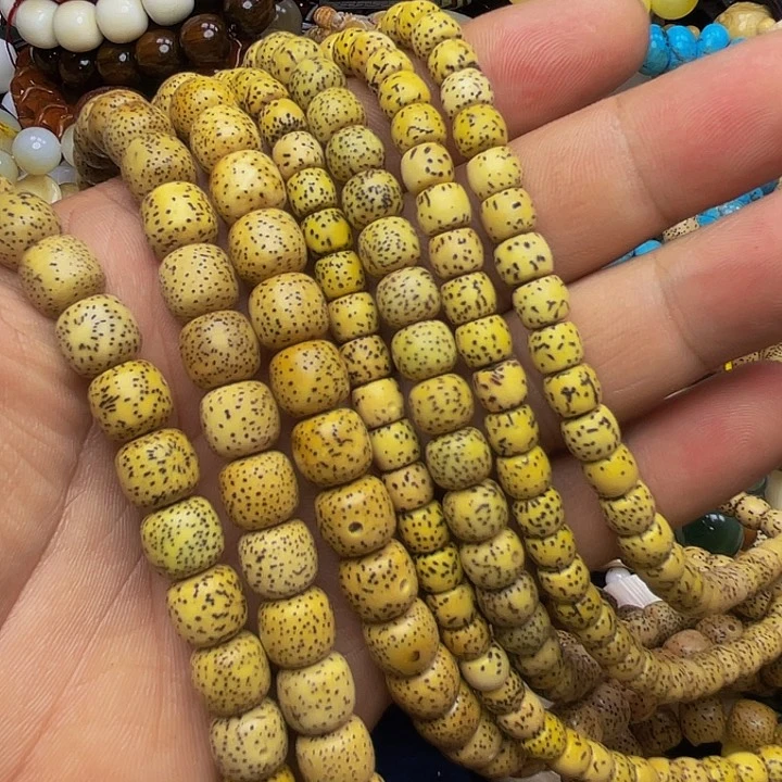 五***5星月菩提吊坠人工养殖